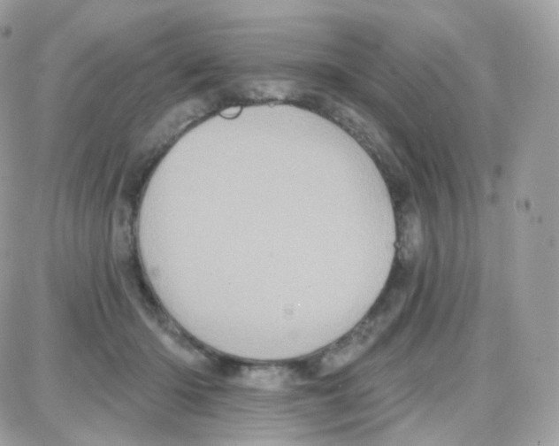 X0000087700414200706011750