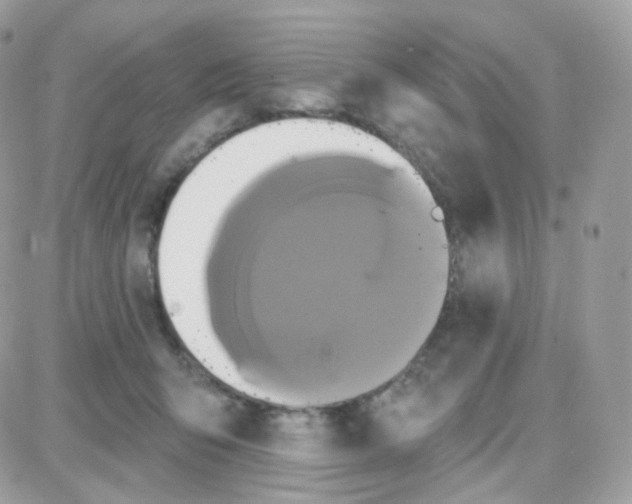 X0000087700415200706011750