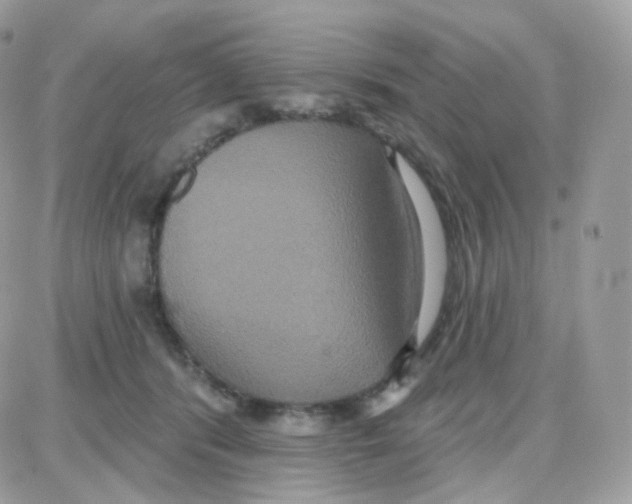 X0000087700416200706011749