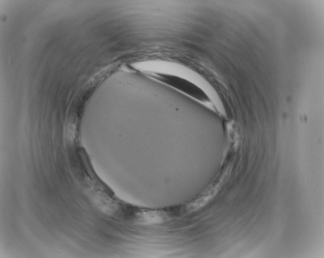 X0000087700417200706011749