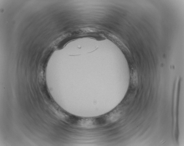 X0000087700418200706011749