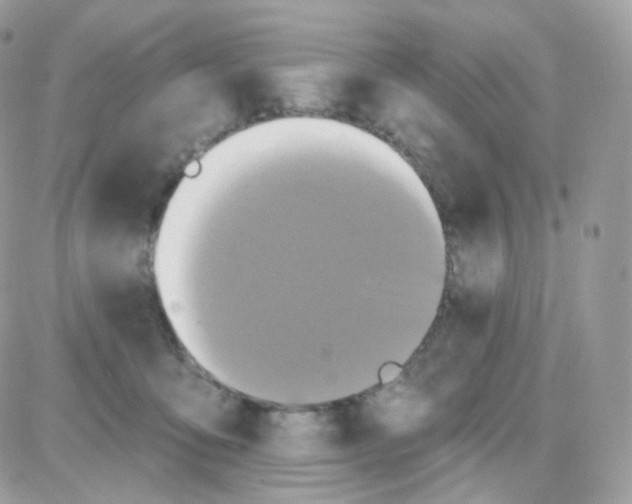 X0000087700419200706011749