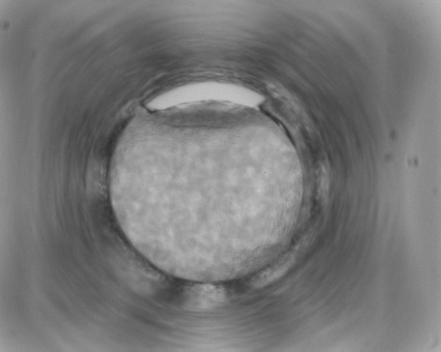 X0000087700421200706011749