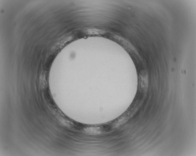 X0000087700422200706011749