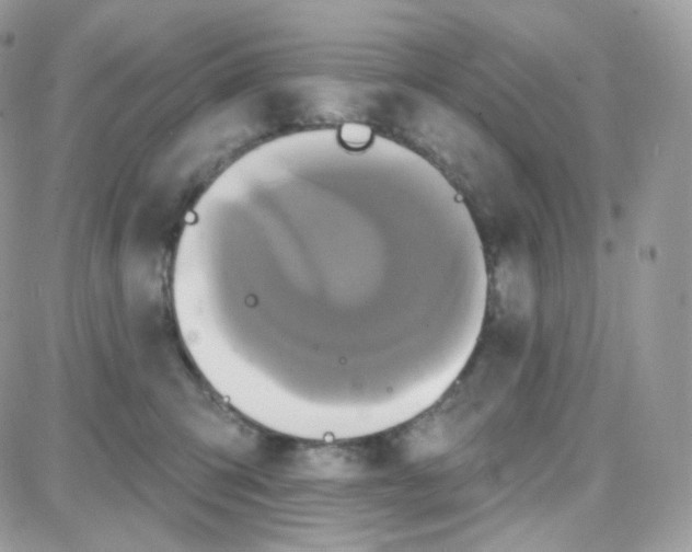 X0000087700423200706011749