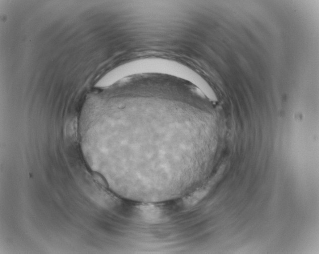 X0000087700425200706011749