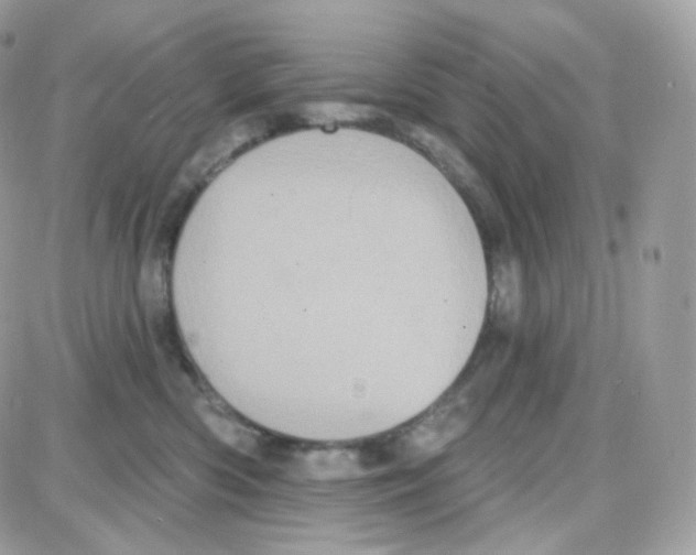 X0000087700426200706011749