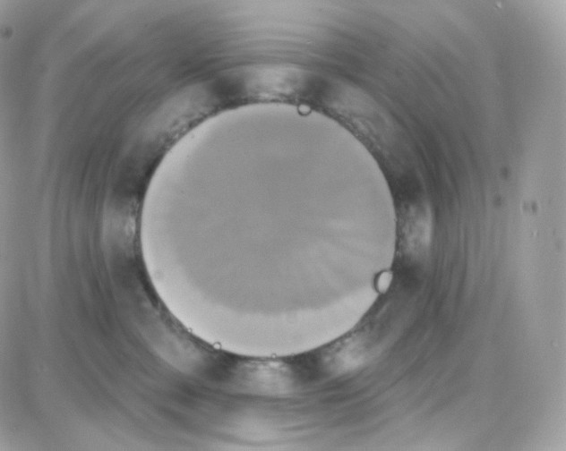 X0000087700427200706011749