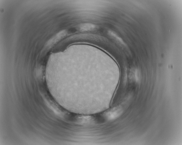 X0000087700428200706011749