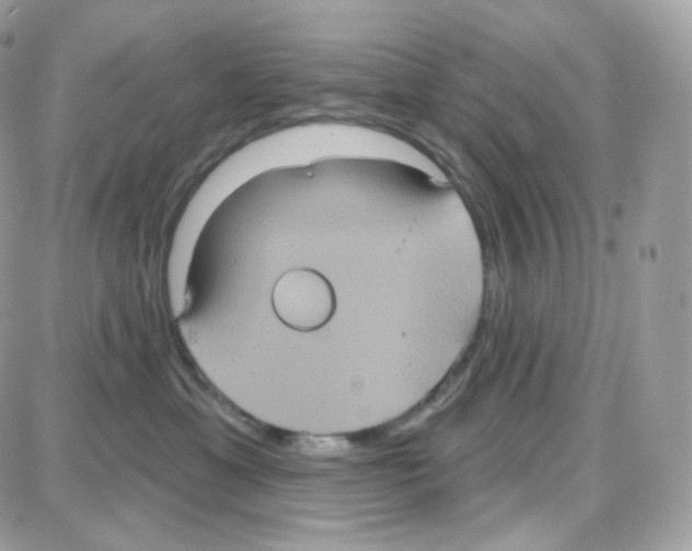 X0000087700429200706011749