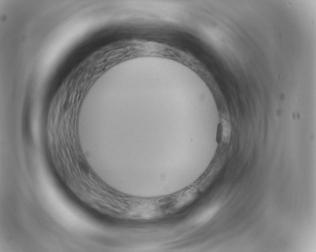 X0000087700431200706011749