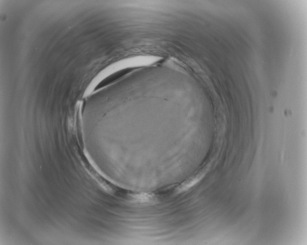 X0000087700432200706011749