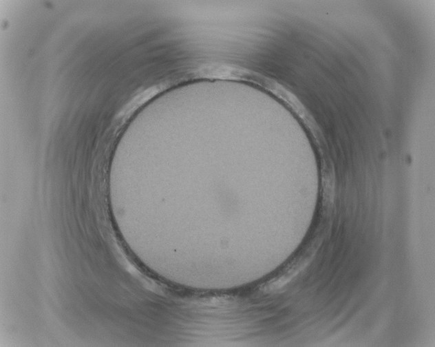 X0000087700433200706011748