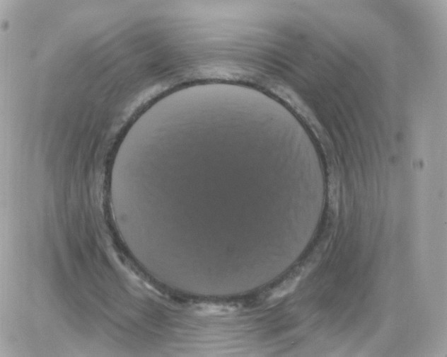 X0000087700434200706011748