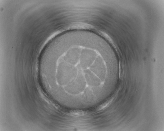 X0000087700435200706011748