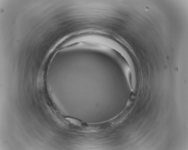 X0000087700436200706011748