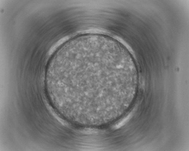 X0000087700437200706011749