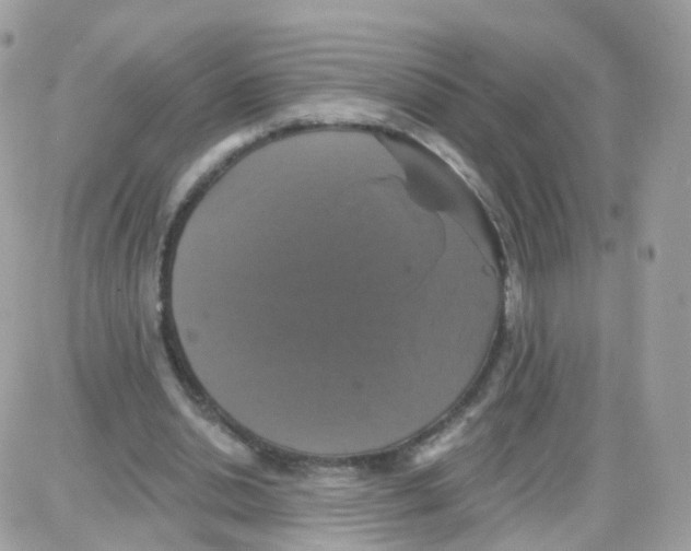 X0000087700438200706011749