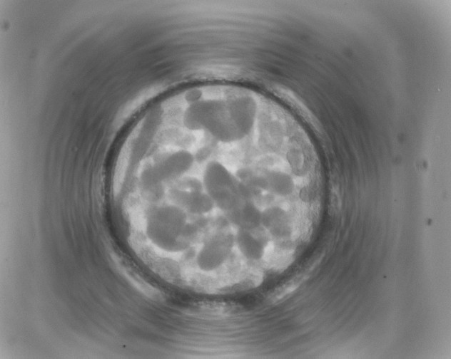 X0000087700439200706011749