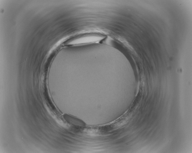 X0000087700440200706011749