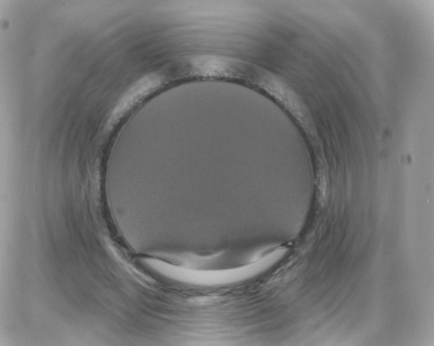 X0000087700442200706011749