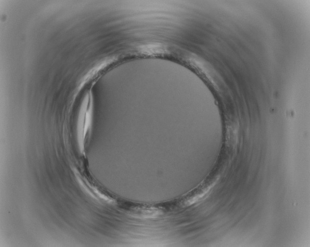 X0000087700443200706011749