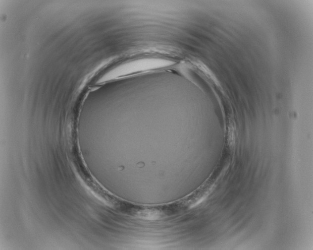 X0000087700444200706011749