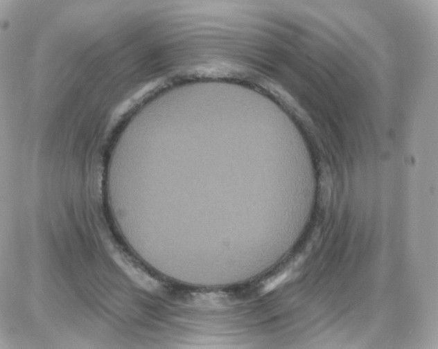 X0000087700446200706011749