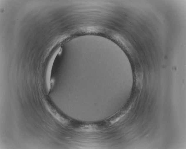 X0000087700447200706011749