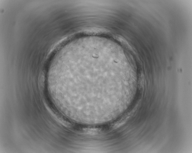 X0000087700448200706011749