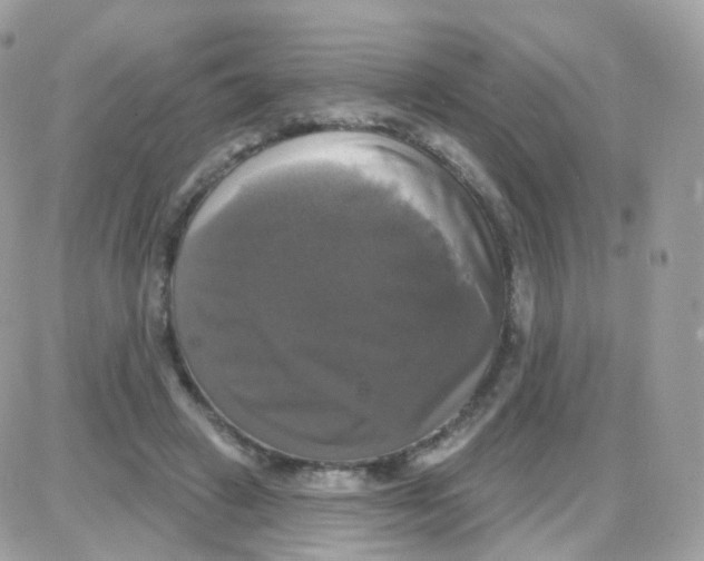 X0000087700449200706011749