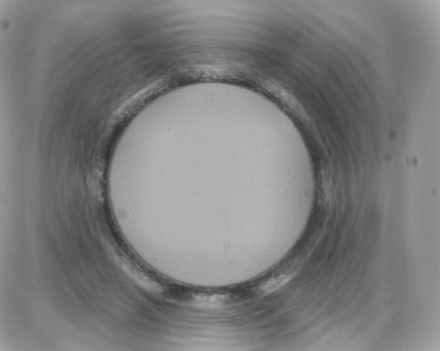 X0000087700450200706011749