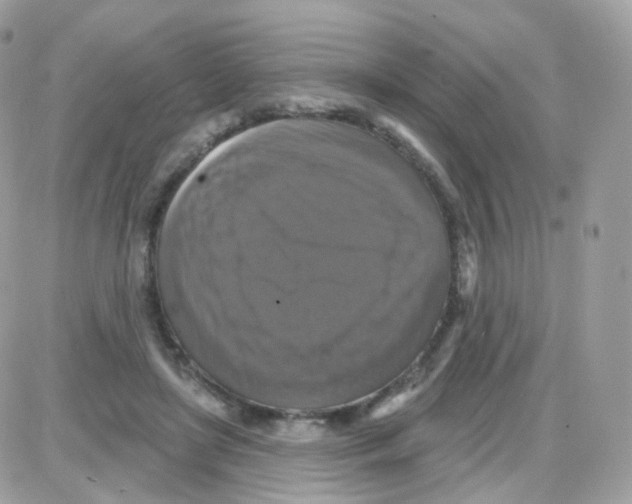 X0000087700451200706011749