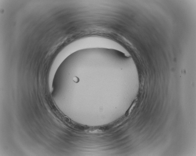 X0000087700452200706011749