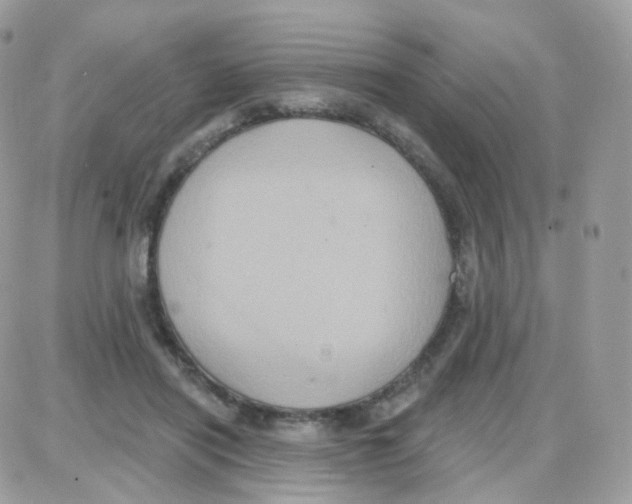 X0000087700454200706011749