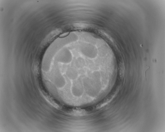 X0000087700455200706011749