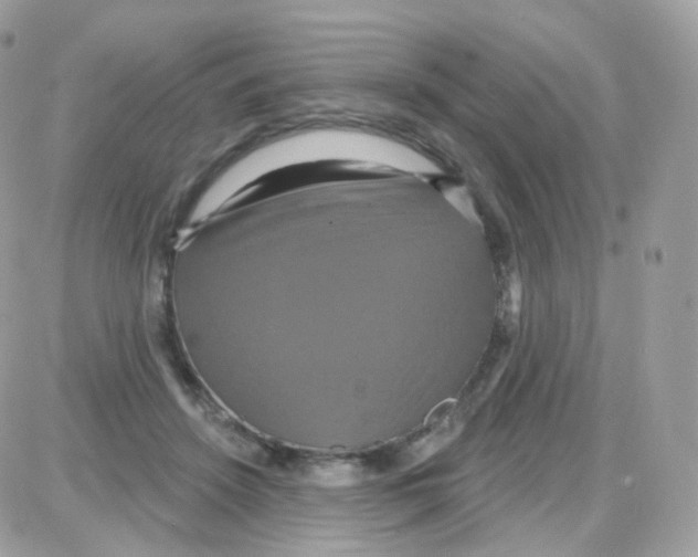 X0000087700456200706011749