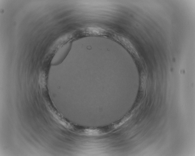 X0000087700457200706011749