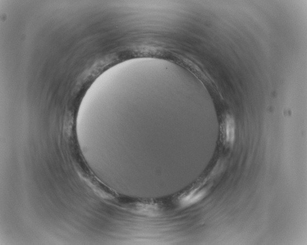 X0000087700458200706011749