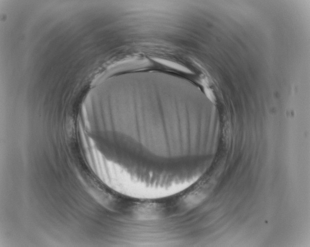 X0000087700459200706011749