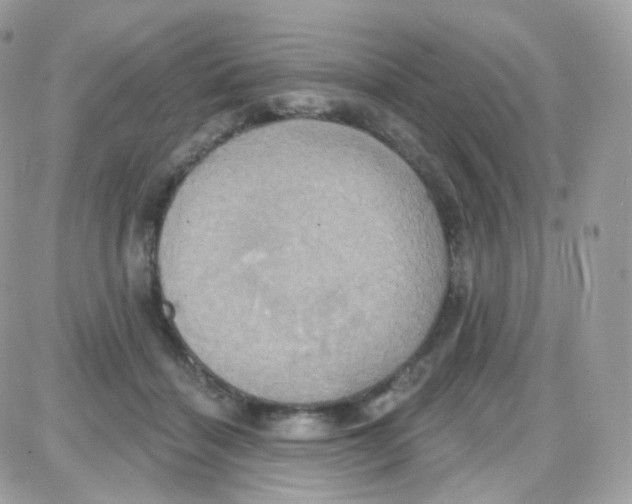 X0000087700460200706011749