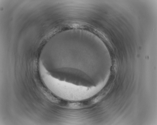 X0000087700461200706011749