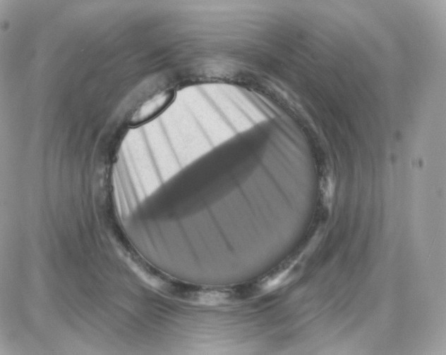 X0000087700462200706011749