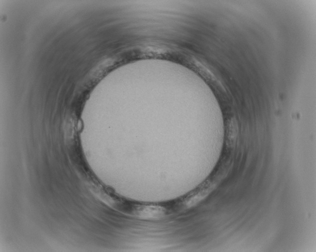 X0000087700463200706011749