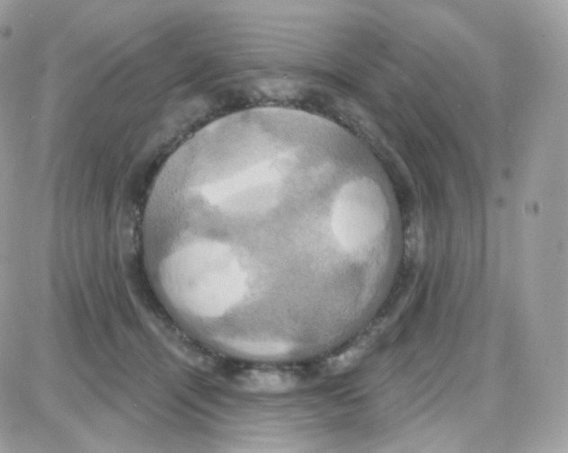 X0000087700464200706011749