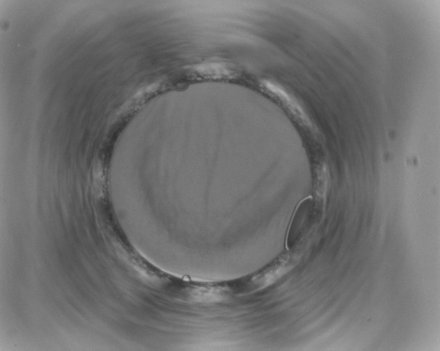 X0000087700465200706011749