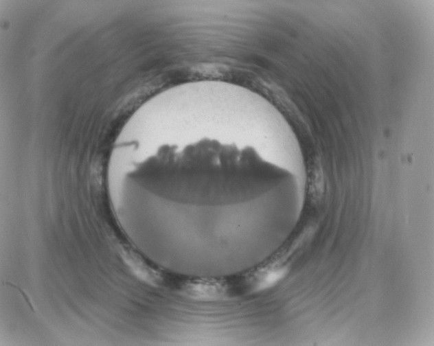 X0000087700466200706011749