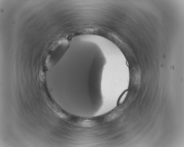 X0000087700467200706011749