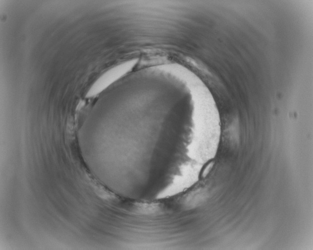 X0000087700469200706011749