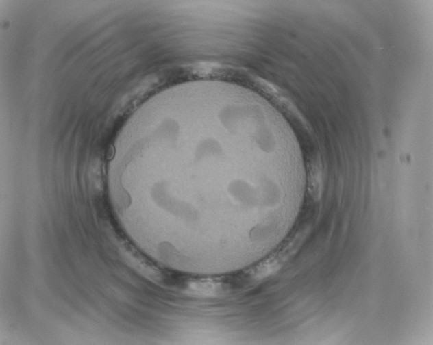 X0000087700470200706011749